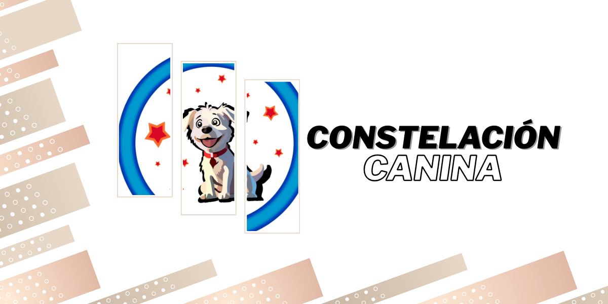 Perro estrellado